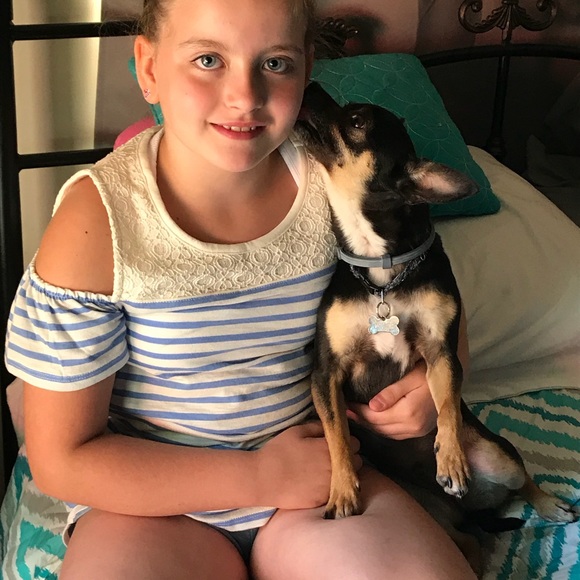 Meet your Posher, Terry - Picture 3 of 4